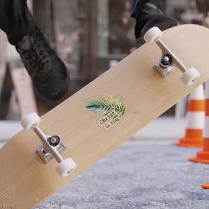 Transparent Outdoor Die-Cut Sticker - 'Christ is King' Palm Leaf Design